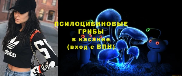 амфетамин Богородицк