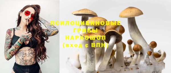 прущая мука Богородск