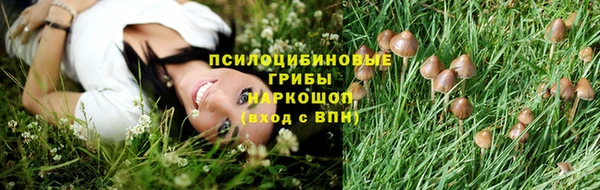амфетамин Богородицк