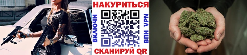 закладка  гидра ссылки  Конопля индика  Новый Оскол 